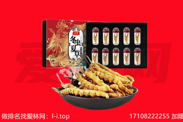 鄂尔多斯东胜区回收虫草.jpg